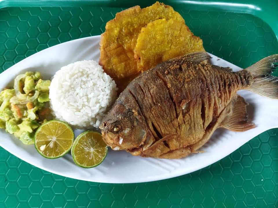 Restaurante Los Celios-4